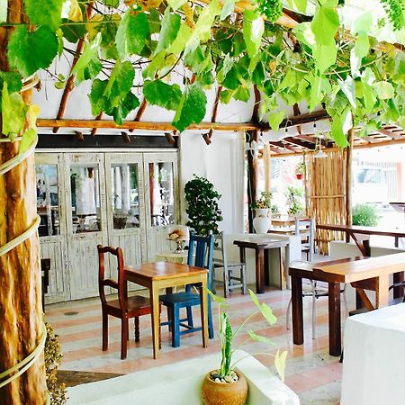 Posada Amor Hotel Boutique Puerto Morelos Ngoại thất bức ảnh