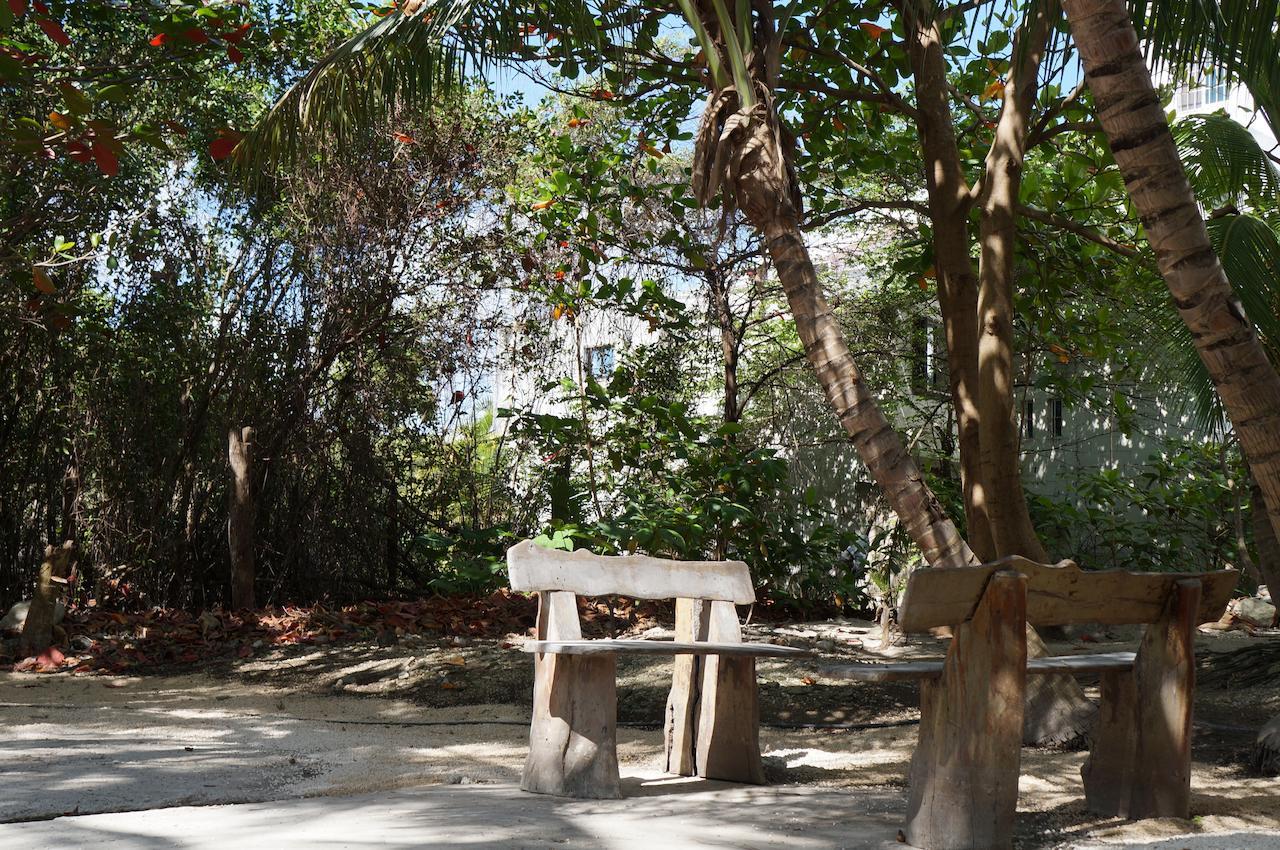 Posada Amor Hotel Boutique Puerto Morelos Ngoại thất bức ảnh