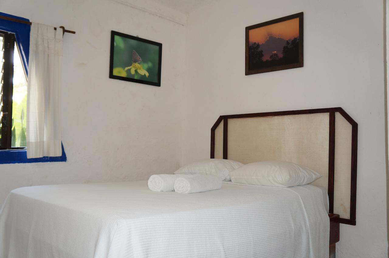 Posada Amor Hotel Boutique Puerto Morelos Ngoại thất bức ảnh