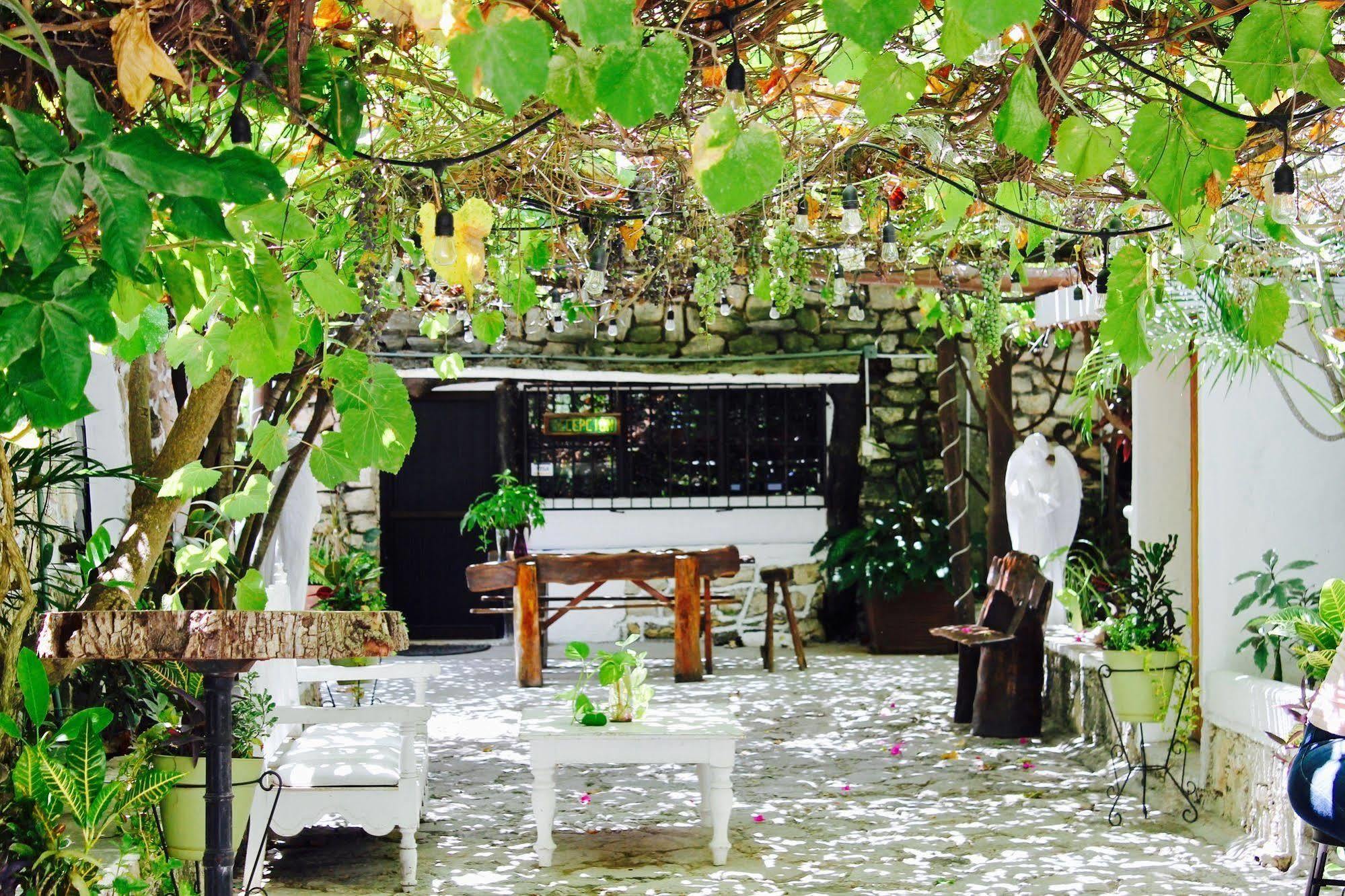 Posada Amor Hotel Boutique Puerto Morelos Ngoại thất bức ảnh